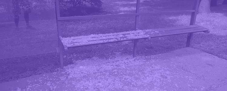 empty bus bench outside in a purple overlay