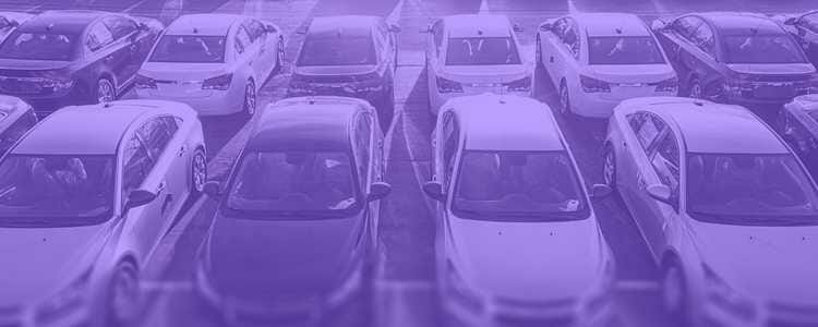 two lines for parked cars in a crowed parking lot with a purple overlay
